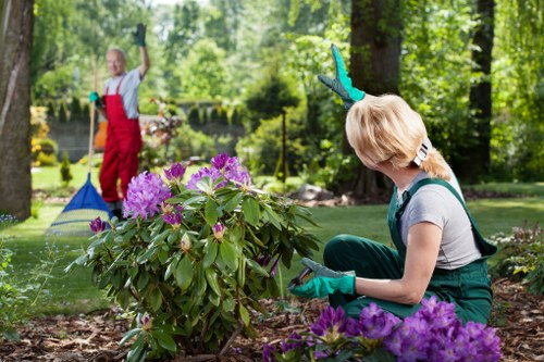 Gardening and landscaping work in progress with tools and materials