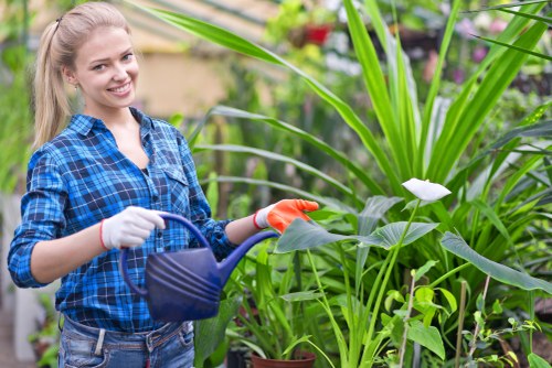 Image illustrating cookies used on the Landscaping Kenton website