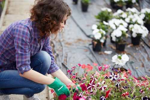 Complaint process review for a landscaping project