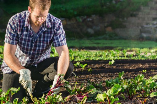 Final resolution in a landscaping complaints process