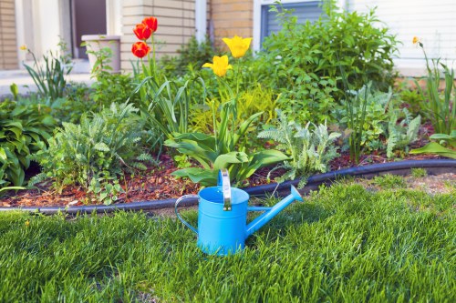Low-maintenance landscaped garden with paving and shrubs in Kenton