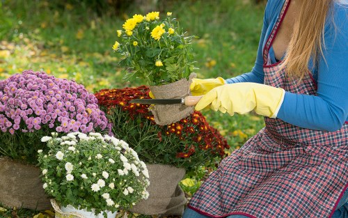 Patio, planting, and landscaping features for a Kenton garden makeover