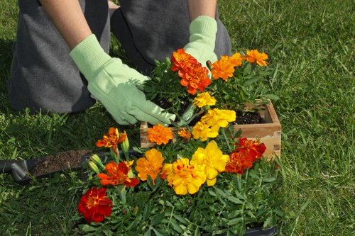 Landscaping Kenton pricing discussion for a garden clearance and redesign project