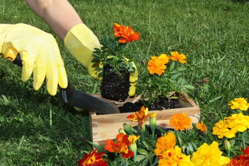 Supervisor reviewing site safety measures on a landscaping project
