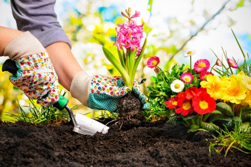 Safe and professional landscaping services in Kenton