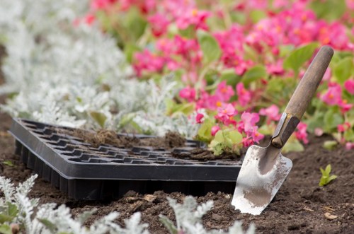 Kenton garden landscaping with paths, shrubs, and decorative planting