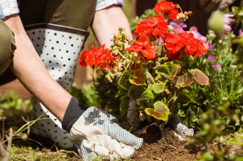 Local garden redesign ideas for Kenton homes and properties